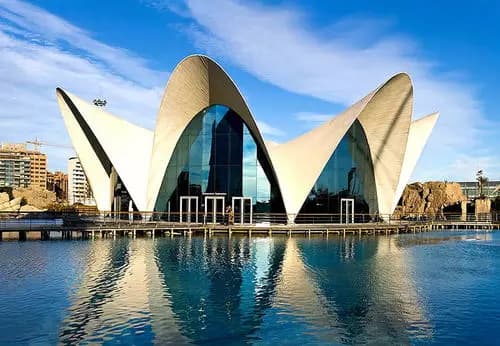 Visita a los Museos de Valencia.