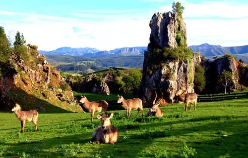Parque de la Naturaleza de Cabárceno | Playa de Langre | Playa de Arnía.