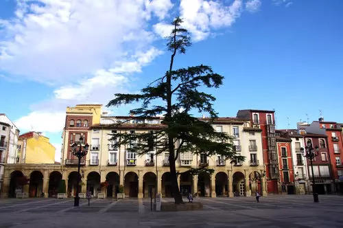 Llegada a Logroño | Muralla del Revellín | Calle Portales.