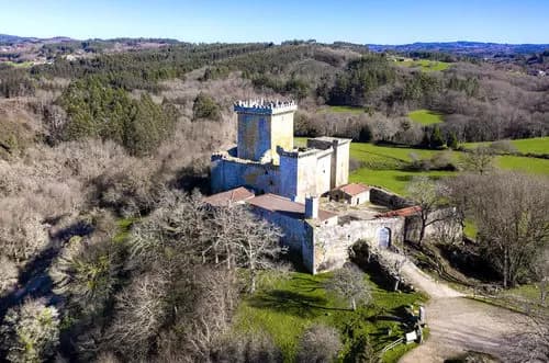 Llegada a Palas de Rei | Castillo de Pambre | Castro de Viladonga.