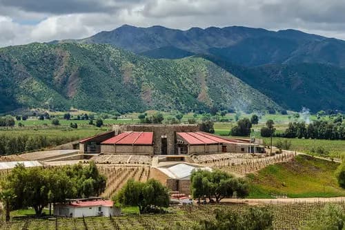 Introducción al Vino en Día de Vinícolas en el Valle de Guadalupe