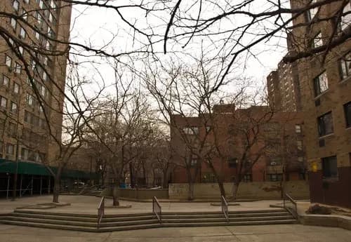 Bronx/ Yankee Stadium/ Avenida Grand Concourse y El South Bronx/ Jardín Botánico/ Zoológico Del Bronx/ Isla City