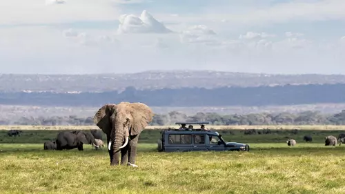 Día 05 – Maasai Mara