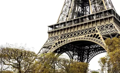 De Dijon a París: Un Cierre Magistral en Tren de Alta Velocidad.