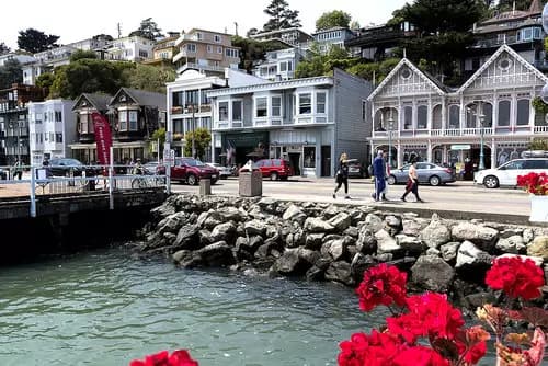 Pueblo Sausalito | Muir Woods National Monument | Restaurante Scoma's.