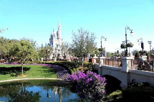 Adiós a Orlando: Un Desayuno Especial para Culminar tu Estancia.