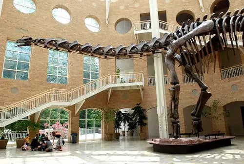 Centro Nacional por los Derechos Civiles y Humanos | Jardín Botánico de Atlanta | Fernbank Museum of Natural History.