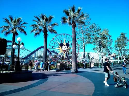 Disneyland Resort | Disney California Adventure Park | Disney's WonderGround Gallery
