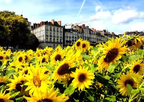 Destinos en Tren: Nantes, Reims y Rouen Una Odisea Cultural.