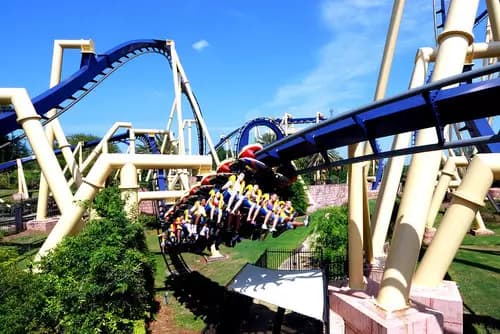 Busch Gardens Tampa Bay | Tampa Bay History Center | Ybor City.