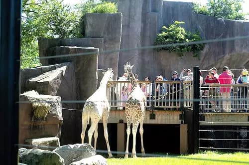 Milwaukee County Zoo | Boerner Botanical Gardens | Paseo por Historic Third Ward