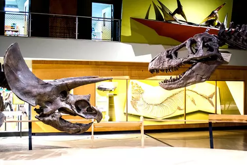 Cleveland Museum of Art | Cleveland Museum of Natural History | Playhouse Square