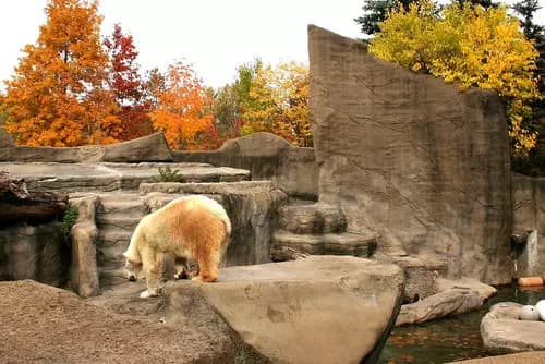 Cleveland Metroparks Zoo | Cleveland Botanical Garden | West Side Market