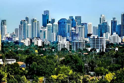Regreso a Miami: El Gran Final de tu Viaje por Florida