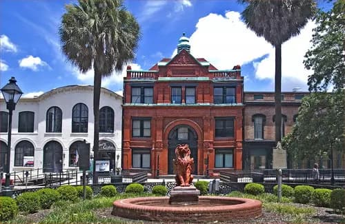 Savannah te Espera: ¡Aventura en Cada Esquina!