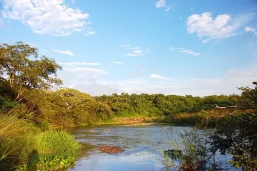 Museo de Guanacaste | Parque Nacional Rincón de la Vieja | Cena en Restaurante Cuatro Mares