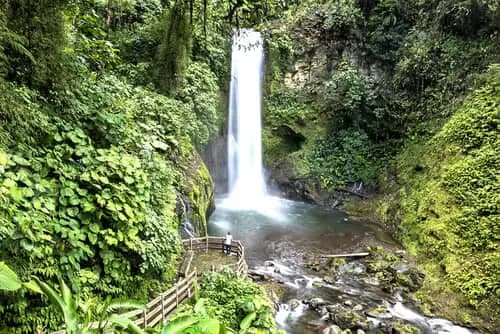Volcán Poás, Tour de Café en Doka Estate y Cataratas de la Paz.