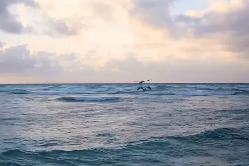 Stepping into Paradise: Arrival to Cancún and transfer to Playa del Carmen