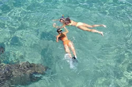 Journey to Cozumel: A Day Trip from Playa del Carmen