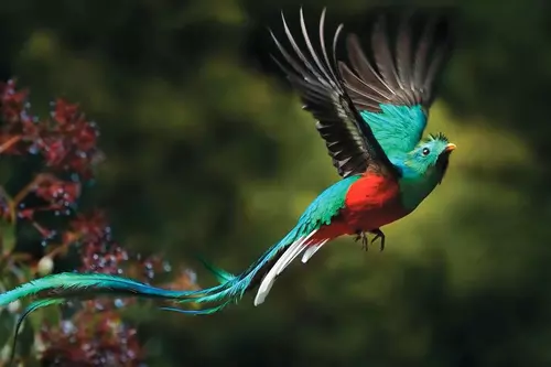 Transfer from Arenal to Monteverde PK