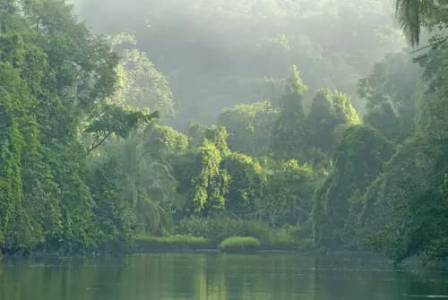 Manuel Antonio to Corcovado PK