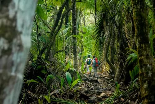 Visit Corcorvado Reserve PK