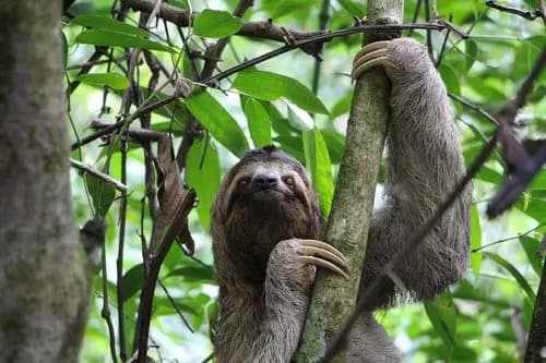 San Jose to Manuel Antonio