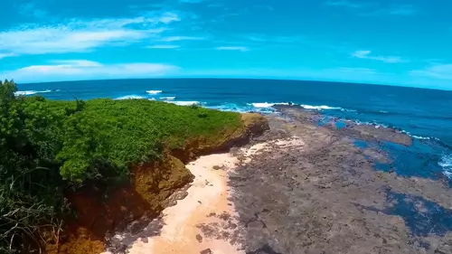 Free Day in Tamarindo