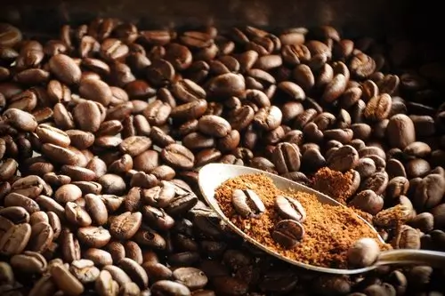 Tour to Coffee Plantations in Naranjo PK