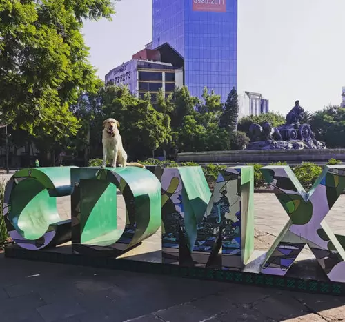 Llegada a Ciudad de México desde Europa u otro destino lejano