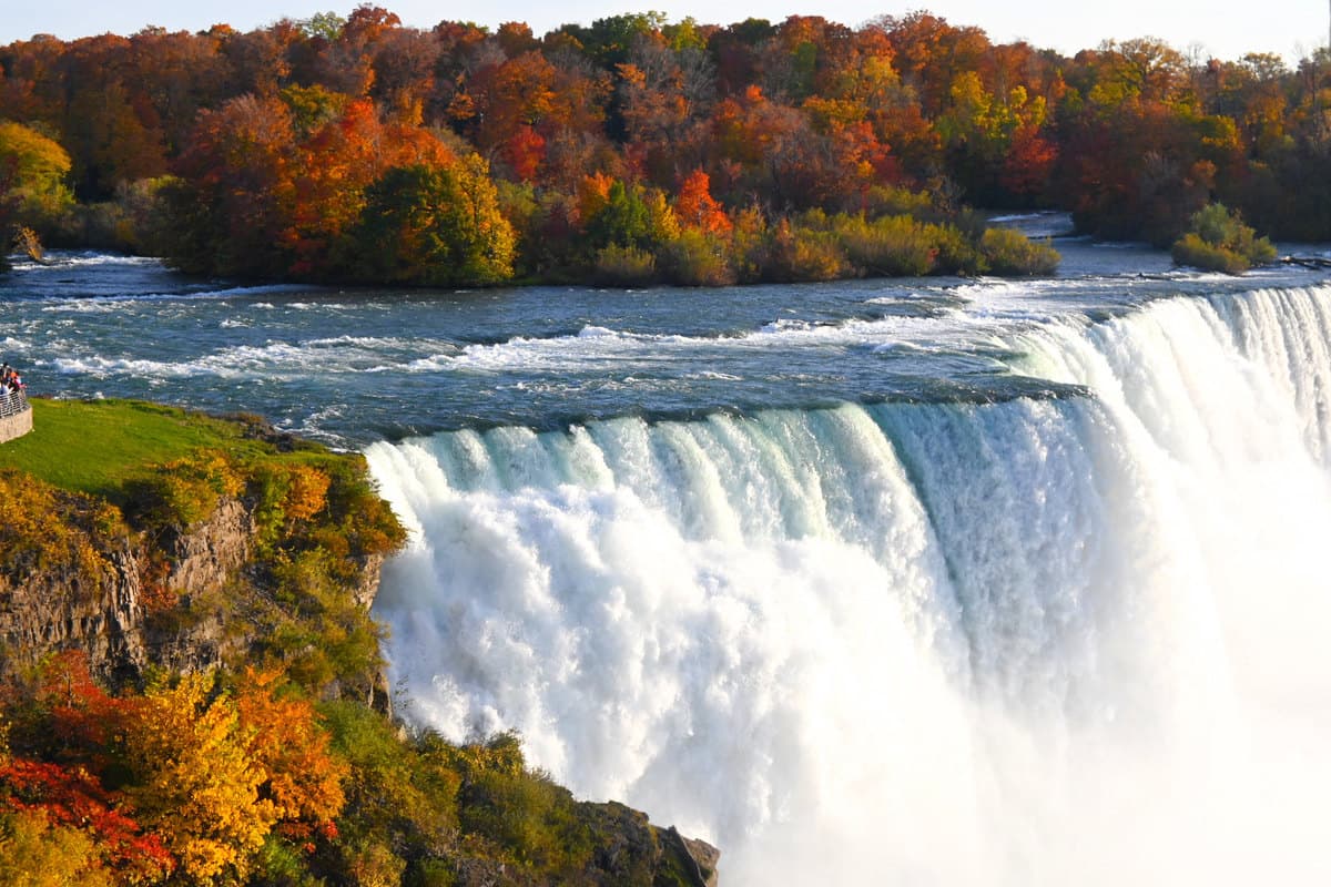 New York al Natural: Un Recorrido de Ensueño