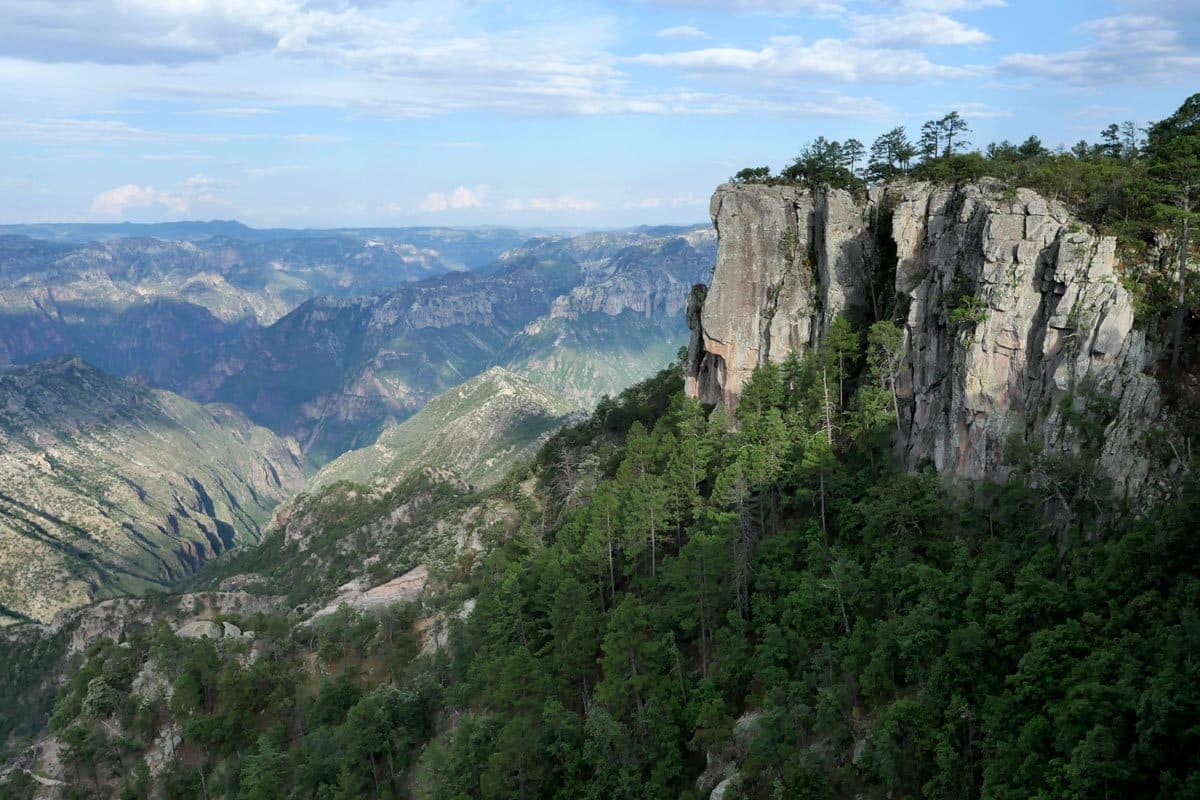6 Days Chepe Express Tourist (Wednesday, Friday or Sunday) Los Mochis - El Fuerte - Bahuichivo - Copper Canyon - Creel - Chihuahua