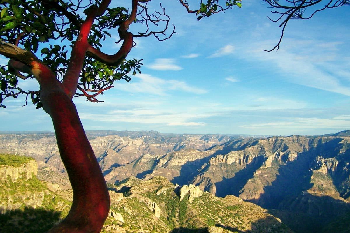 6 DÍAS Superior Tren Chepe Express Turista (martes y Jueves): Chihuahua - Creel - Barrancas del Cobre - El Fuerte - Creel - Chihuahua