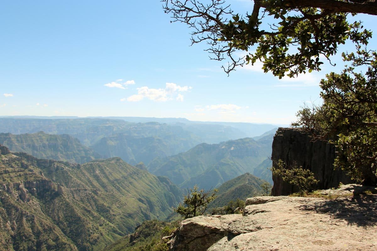 7 Días - Primera Superior - Chepe Express Turista (Domingo) Los Mochis - El Fuerte - Bahuichivo - Barrancas del Cobre - Creel - El Fuerte - Mochis