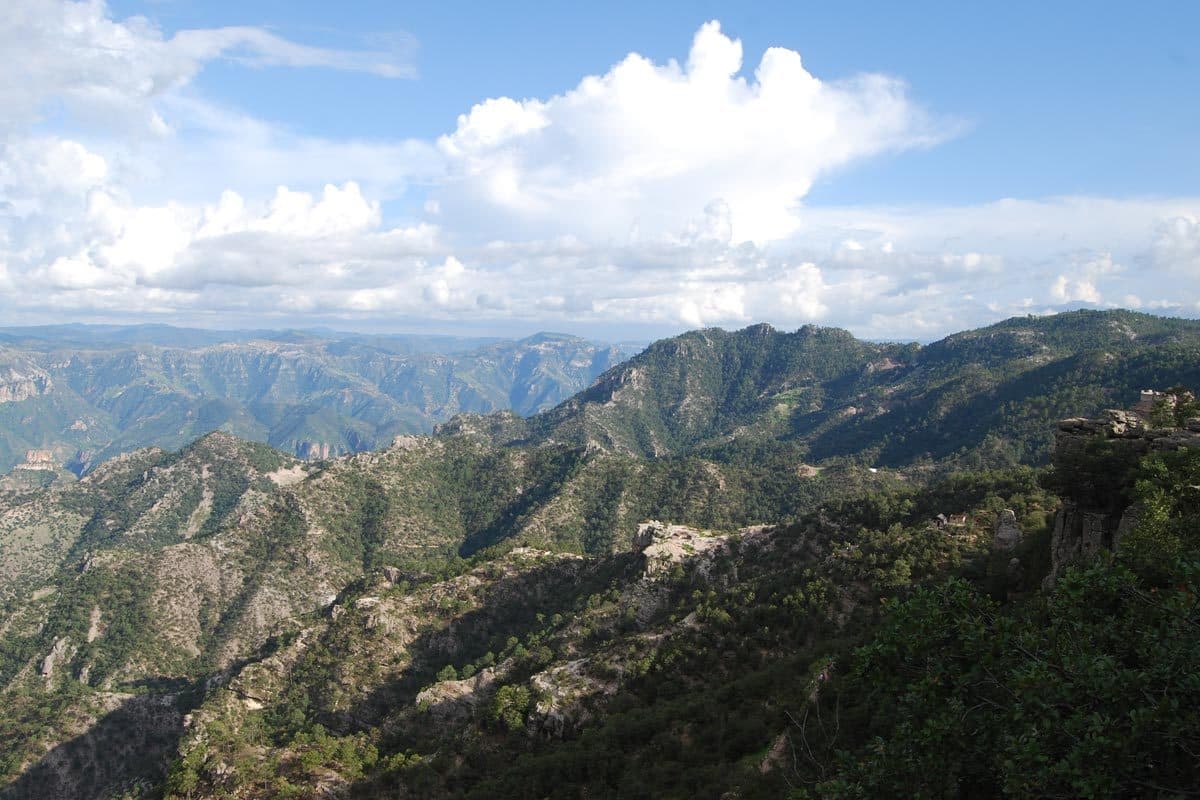 7 Days Superior (Tuesday and Thursday) Chepe Express First Class Train: Chihuahua-Creel-Barrancas-Bahuichivo-El Fuerte-Mochis