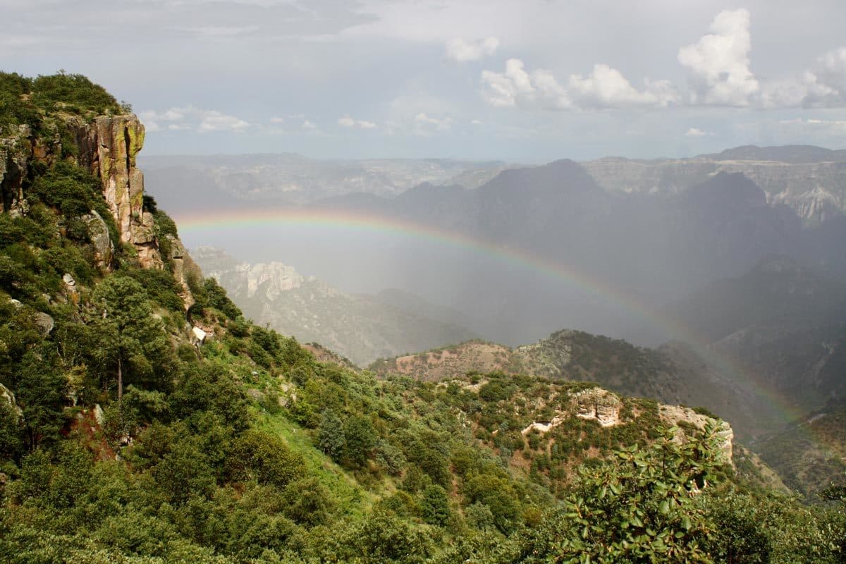 9 Days - Superior - Chepe Express Tourist (Friday and Sunday) Los Mochis - El Fuerte - Bahuichivo - Copper Canyon - Creel - Los Mochis