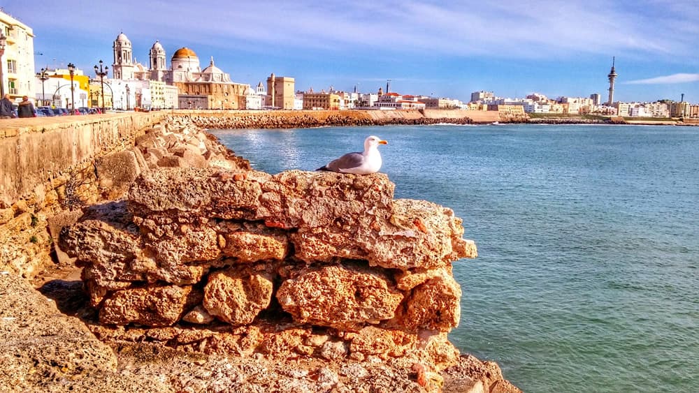 Ruta por Cádiz en 2 días: La Gran Perla de la Costa Andaluza.