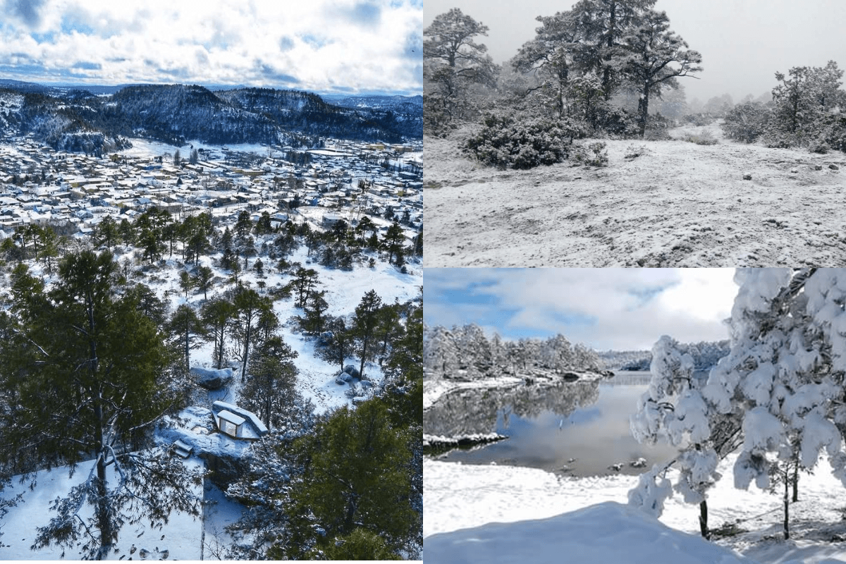 Paquete 3: AÑO NUEVO (Inicio 30 de Diciembre 2026) 6 días CHEPE EXPRESS Primera: Chihuahua - Creel - Barrancas del Cobre - Bahuichivo - El Fuerte - Los Mochis
