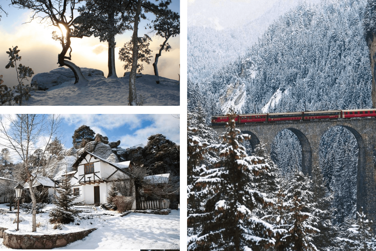 Paquete 1.1: AÑO NUEVO (Inicio 27 de Diciembre 2026) CHEPE EXPRESS TURISTA 6 Días: Los Mochis - El Fuerte - Bahuichivo - Barrancas del Cobre - Creel - Chihuahua