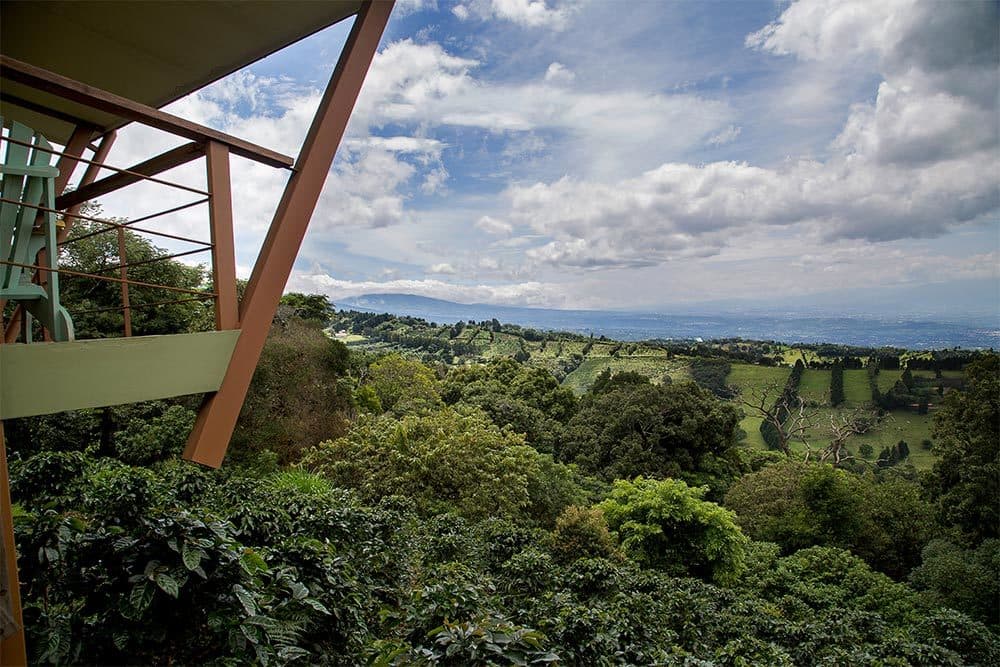 Taste of Costa Rica