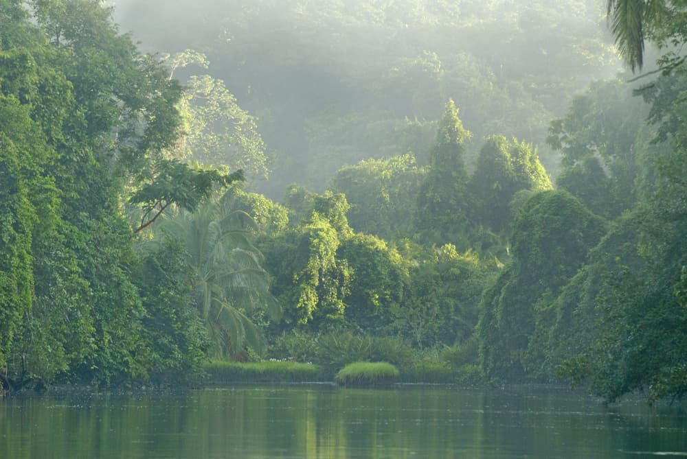 Exotic Costa Rica