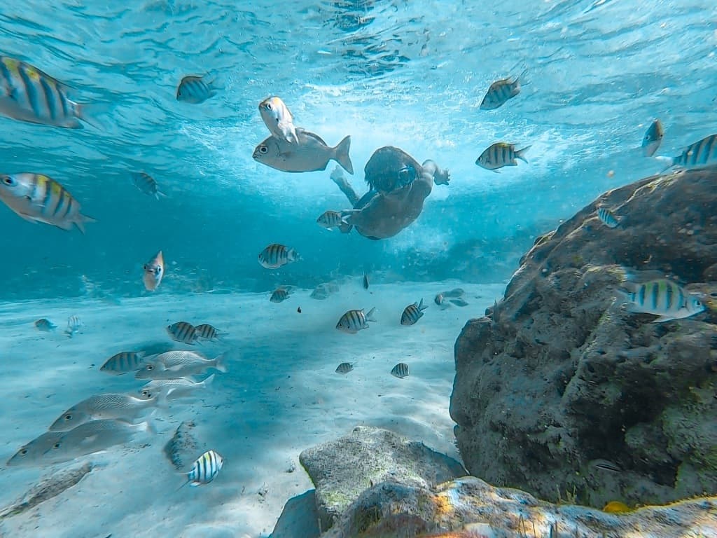 Los Imperdibles de Isla Mujeres