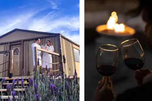 Luna de Miel Valle de Guadalupe - 2 noches en Indomito Glamping de Lujo - Valle de Guadalupe y la Ruta del Vino