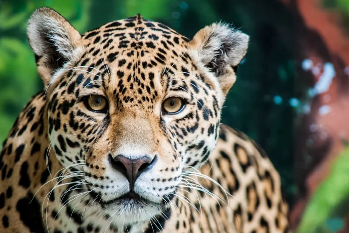 Sensational Tour through Chiapas of 5 days with Montebello (Tuesday and Saturday)
