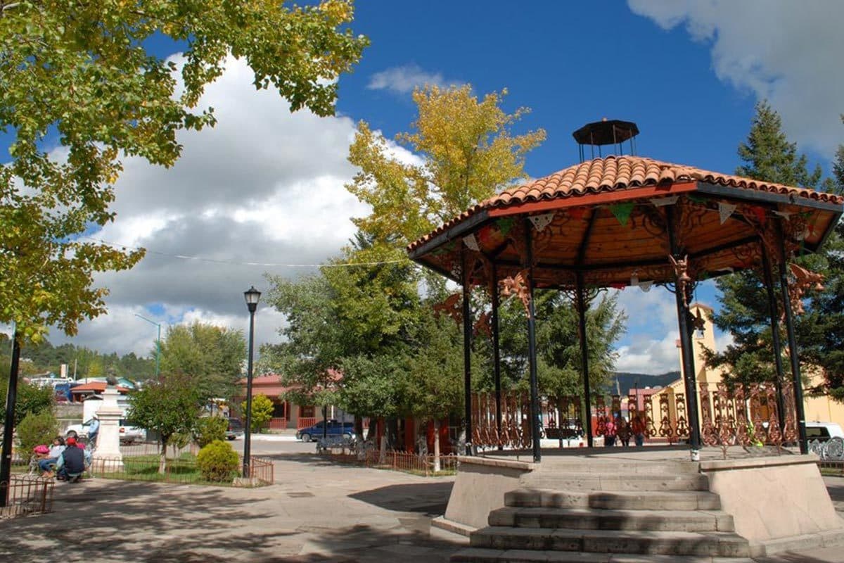 8 days Superior Train Chepe Express Tourist Tickets Class (Wednesday and Friday): Los Mochis - El Fuerte - Copper Canyon - Creel - Quinta Gameros - Chihuahua