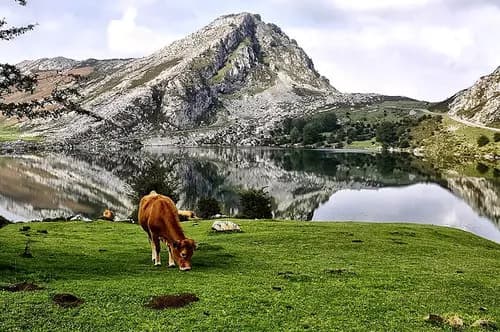 Pueblo de Llanes | Lagos de Covadonga | Cangas de Onís.