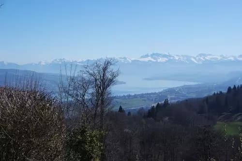 Día completo en Zúrich