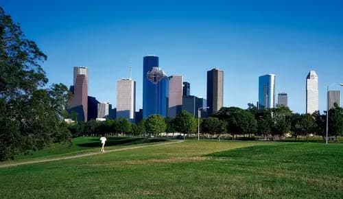 2. Arte, Ciencia y Naturaleza: Museum District de Houston