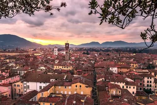 Cierra tu Viaje con Broche de Oro: Desayuno en Il Forno di Gigi, Lucca.