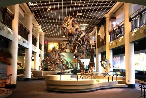 Parque Fairmount | Adventure Aquarium | Museo de Ciencias Naturales de la Academia de Ciencias Naturales de la Universidad de Drexel.